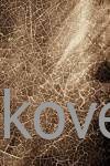 Ковер SUNRISE 2 D461 BEIGE